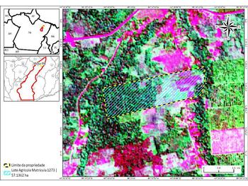 Área Rural e Terrenos em leilão - Rodovia Estadual Pa- 252, s/n - Moju/PA - SICREDI SUDOESTE MT PA | Z35946