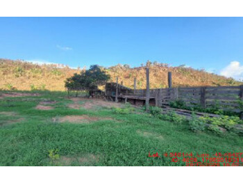 Área Rural em leilão - Estrada Vicinal, s/nº - Paulo Ramos/MA - Banco Bradesco S/A | Z36136