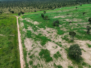 Área Rural e Terrenos em leilão - Fazenda Água Viva - Parte 1, s/nº - São Félix do Araguaia/MT - Banco Cooperativo Sicoob S.A. | Z35992