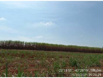 Área Rural e Terrenos em leilão - Estrada Vicinal, s/nº - Porto Feliz/SP - Banco ABC S/A | Z36235