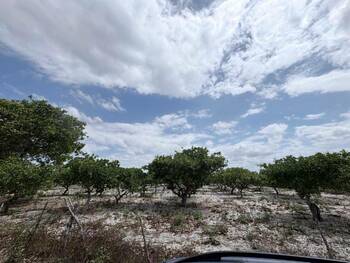 Terreno em leilão - Rua e Loteamento El Dourado, S/nº - Pacajus/CE - Banco Santander Brasil S/A | Z36181