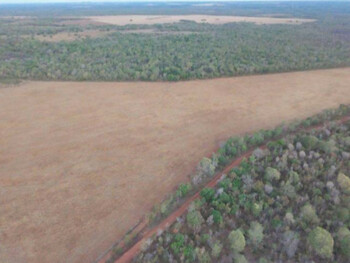 Área Rural e Terrenos em leilão - Lote 32 do Loteamento Margem Direta do Ribeirão Riacho, s/n - Ipueiras/TO - Banco Cooperativo Sicoob S.A. | Z35994