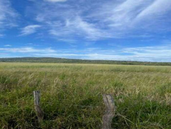 Área Rural e Terrenos em leilão - Fazenda Bagre, s/n - Caldas Novas/GO - Banco Cooperativo Sicoob S.A. | Z35994
