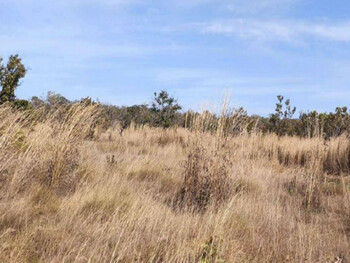 Fazenda em leilão - Sítio Boa Esperança, 01 - Chapada da Natividade/TO - Banco Cooperativo Sicoob S.A. | Z35994