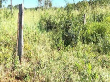 Área Rural e Terrenos em leilão - Fazenda Caraça, s/n - Estreito/MA - Banco Cooperativo Sicoob S.A. | Z35994