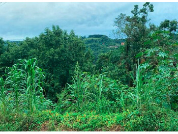 Terrenos e Lotes em leilão - Rua Maria Callai, S/n - Joaçaba/SC - GVC GERACAO DE VALOR EM COBRANCA LTDA | Z36116
