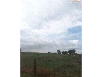 Rurais e Fazendas em leilão - Margens direita da estada municipal NIN-020 (Km 2,10), s/n - Andradina/SP - Tribunal de Justiça do Estado de São Paulo | Z36439