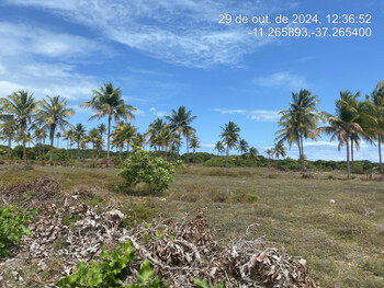 Terreno em leilão - Rodovia Camilo Calazans de Magalhães (Estrada do Abais), s/n - Itaporanga Dajuda/SE - CNP Seguradora | Z36295