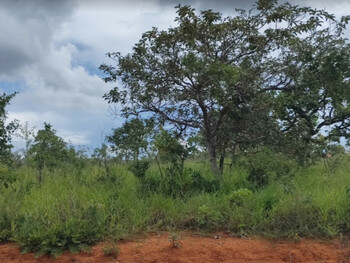 Terreno em leilão - Rua Portugual, s/nº - Caetanópolis/MG - CNP Seguradora | Z36276