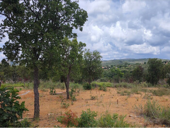 Terrenos e Lotes em leilão - Rua França, s/nº - Paraopeba/MG - CNP Seguradora | Z36273
