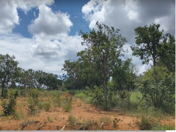 Terrenos e Lotes em leilão - Rua França, s/n° - Paraopeba/MG - CNP Seguradora | Z36273