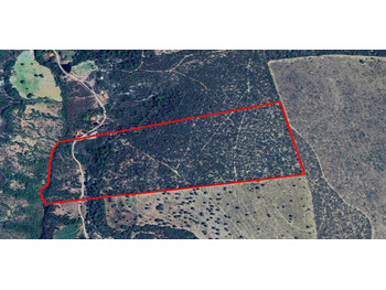 Área Rural em leilão - Rodovia Lmg-698 (Empiçarrada), s/nº - João Pinheiro/MG - Banco Bradesco S/A | Z36400