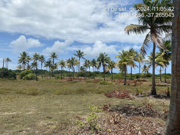 Terrenos e Lotes em leilão - Estrada do Abais, s/nº - Itaporanga D\'Ajuda/SE - CNP Seguradora | Z36273