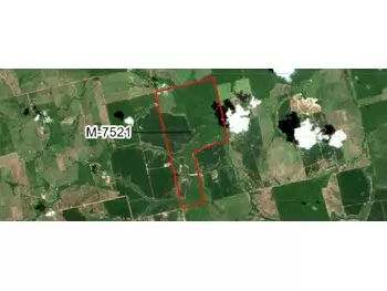 Área Rural Vila Rica / MT - Projeto Santaninha Estrada Municipal "Santaninha" Sentido Ao Distrito Santaninha (Percorrer 5 Km),  s/n 516,94ha terreno 1º leilão