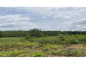 Área Rural e Terrenos em leilão - Estrada Vicinal, s/nº - Serra Dourada/BA - Banco Bradesco S/A | Z36725