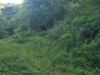 Terreno em leilão - Rua Guimarânia, s/nº - Rio de Janeiro/RJ - BRB - BANCO DE BRASÍLIA S.A | Z37073