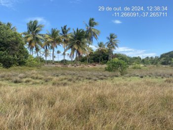  em leilão - Rodovia Camilo Calazans de Magalhães (Estrada do Abais), s/n - Itaporanga d'Ajuda/SE - CNP Seguradora | Z37056