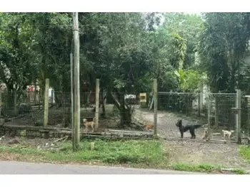 Casa em leilão em Guaiba