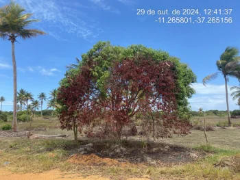 Terreno em leilão em Itaporanga D'ajuda