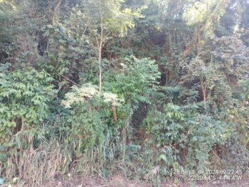 Terreno em leilão - Rua O, 330 - Pinheiral/RJ - CNP Seguradora | Z37061