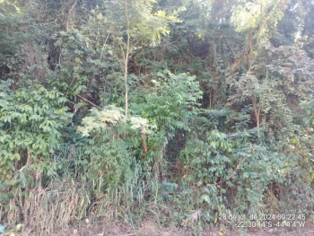 Terreno em leilão em Pinheiral