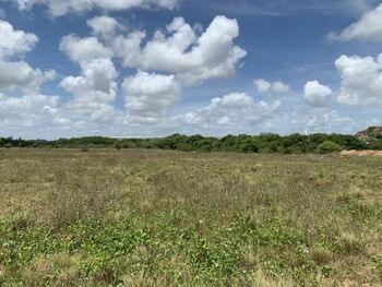 Terrenos e Lotes em leilão - Rodovia Br-101 Sul, 5205 - Cabo de Santo Agostinho/PE - Banco Fibra S/A | Z36837