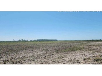 Área Rural e Terrenos em leilão - Estrada Vicinal, s/nº - Santa Rosa do Sul/SC - Banco Bradesco S/A | Z36821