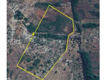  em leilão - Estrada Municipal, s/nº - Sítio Novo/MA - Banco Bradesco S/A | Z36978