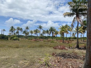  em leilão - Estrada do Abais, s/nº - Itaporanga d'Ajuda/SE - CNP Seguradora | Z37056
