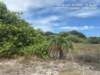 Terreno em leilão em Itaporanga D'ajuda