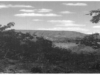 Área Rural e Terrenos em leilão - Rodovia DF 02 km 10, s/n - Planaltina/GO - Tribunal de Justiça do Estado de São Paulo | Z37120