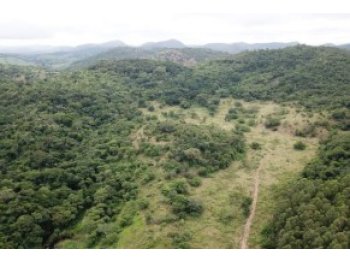  em leilão - Fazenda Espírito Santo / Gleba 07, s/n - Teófilo Otoni/MG - Banco Cooperativo Sicoob S.A. | Z37242