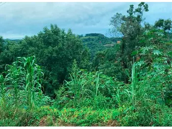 Terreno - Joaçaba / SC - Flor da Serra Rua Maria Callai, S/n