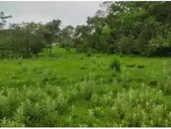 Terreno em leilão em Cidade Ocidental