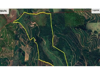 Área Rural e Terrenos em leilão - Estrada Vicinal, s/nº - Santana do Manhuaçu/MG - Banco Bradesco S/A | Z36925