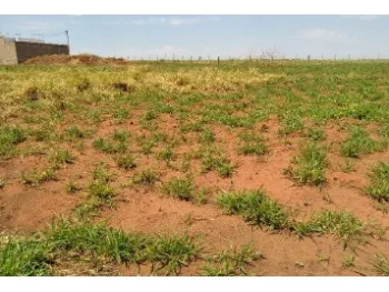 Terreno em leilão em Orlandia
