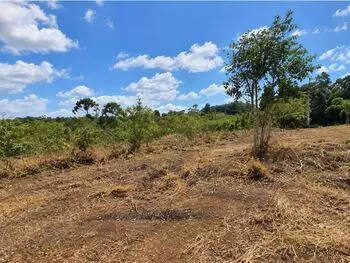 Terreno em leilão em Ibiuna