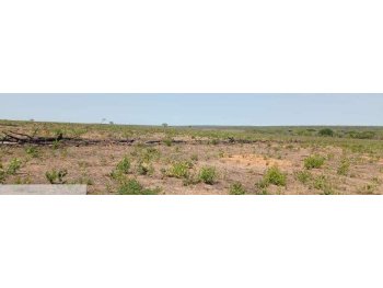  em leilão - Fazenda Giongo, s/n - Baianópolis/BA - Banco Cooperativo Sicoob S.A. | Z37316