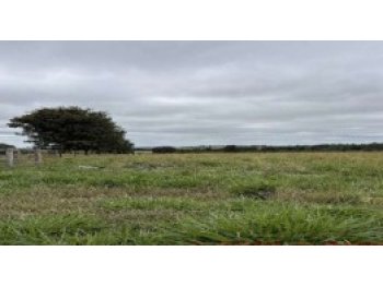  em leilão - Estrada Municipal, s/nº - São José do Rio Claro/MT - Banco Bradesco S/A | Z37620