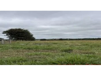 Imóvel rural em leilão em Sao Jose Do Rio Claro