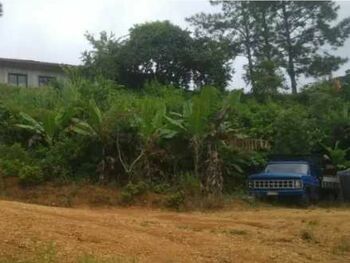 Terrenos e Lotes em leilão - Rua da Serraria, s/n - Eldorado/SP - Tribunal de Justiça do Estado de São Paulo | Z37463