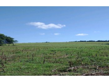  em leilão - Estrada Municipal., s/nº - São Miguel das Missões/RS - Banco Bradesco S/A | Z37427