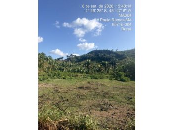 Área Rural em leilão - Povoado Brejo Grande, s/n - Paulo Ramos/MA - SICREDI SUDOESTE MT PA | Z37724