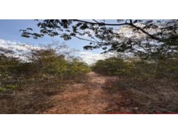 em leilão - Estrada Municipal, s/nº - Rio Pardo de Minas/MG - Banco Bradesco S/A | Z37864