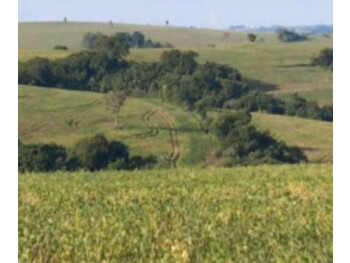 Imagem do imóvel Leilão judicial de Terreno em Itaporanga/SP - Zona Rural