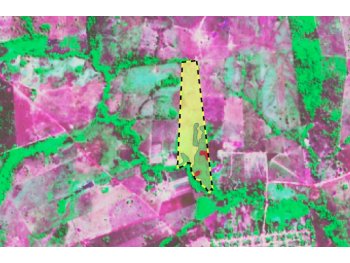  em leilão - Sítio Boa Esperança, Projeto de Assentamento 17 de Abril, s/n - Eldorado do Carajás/PA - SICREDI SUDOESTE MT PA | Z37781