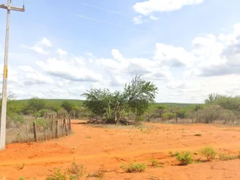 Imóvel rural em leilão em Morro Do Chapeu